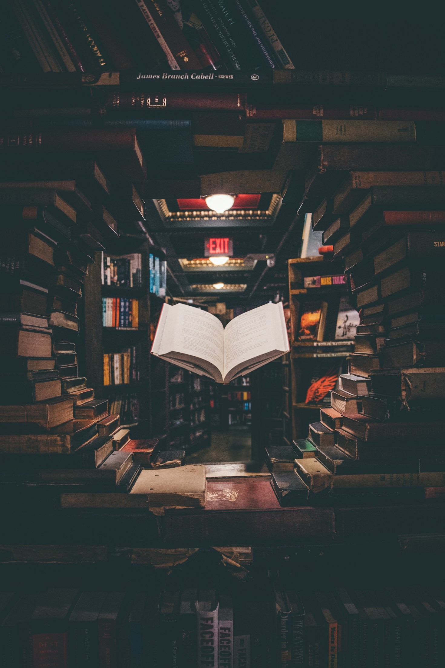 What Makes Dark Academia Literature So Captivating?